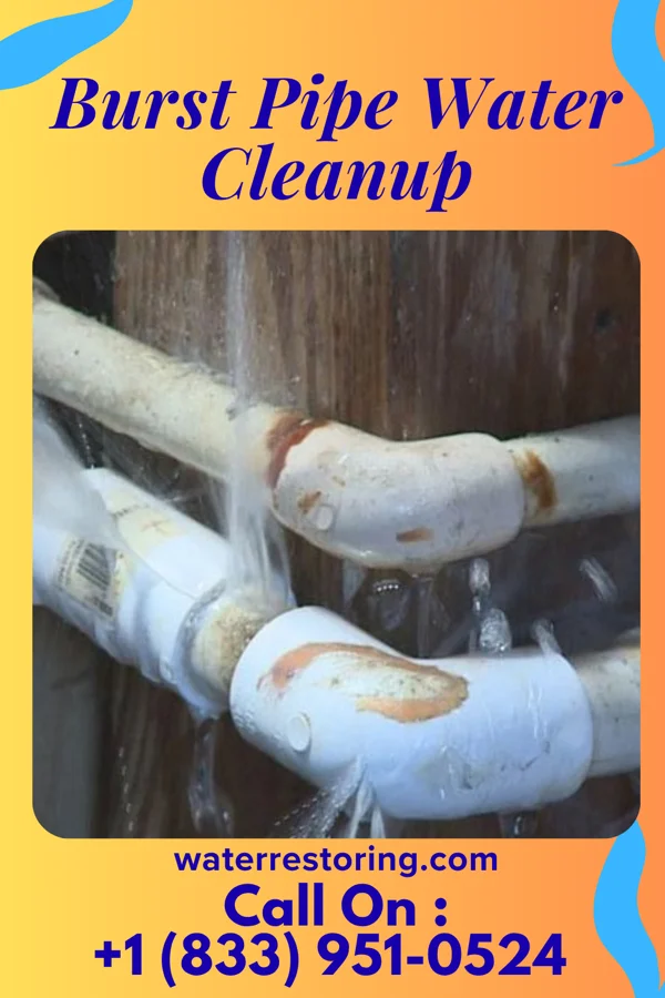 Burst Pipe Water Cleanup in Russellville, OH