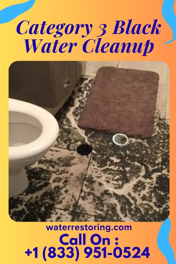 Category 3 Black Water Cleanup in Russellville, OH