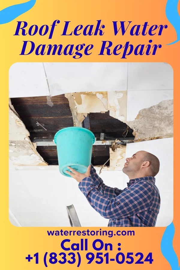 Roof Leak Water Damage Repair in Russellville, OH