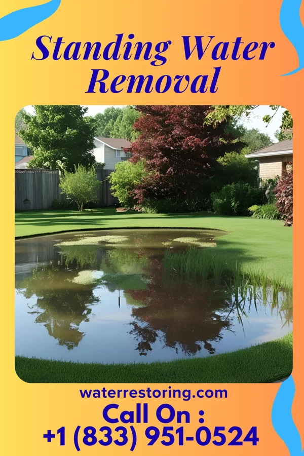 Standing Water Removal in Russellville, OH